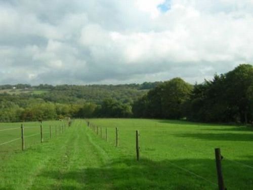 Bed and Breakfast Little Tidebrook Farm Wadhurst Esterno foto