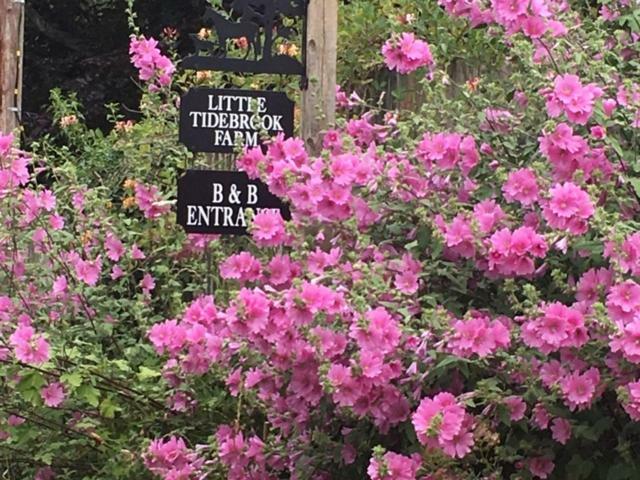Bed and Breakfast Little Tidebrook Farm Wadhurst Esterno foto